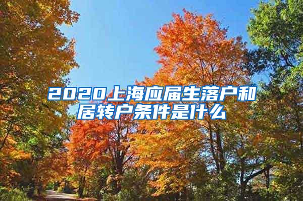 2020上海应届生落户和居转户条件是什么