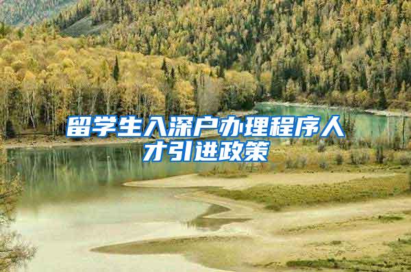 留学生入深户办理程序人才引进政策