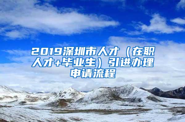 2019深圳市人才（在职人才+毕业生）引进办理申请流程