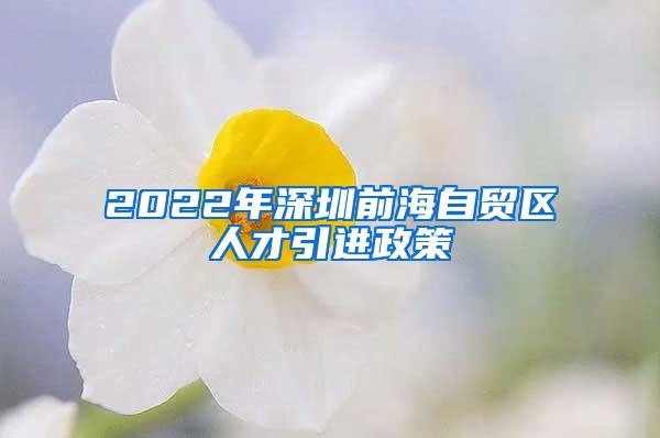 2022年深圳前海自贸区人才引进政策
