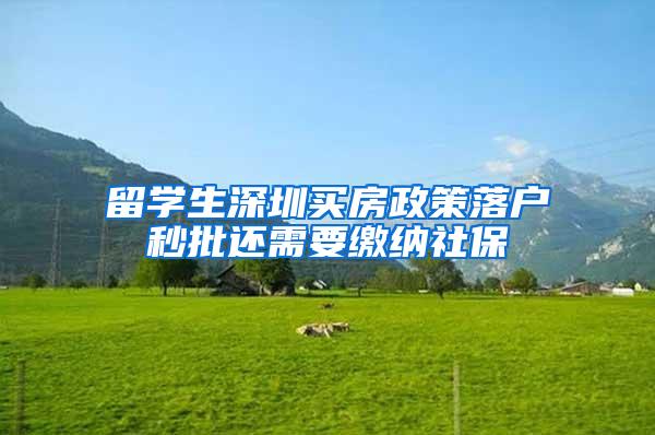 留学生深圳买房政策落户秒批还需要缴纳社保