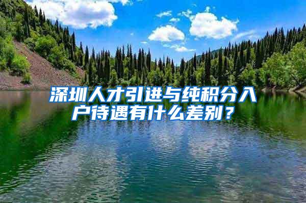 深圳人才引进与纯积分入户待遇有什么差别？