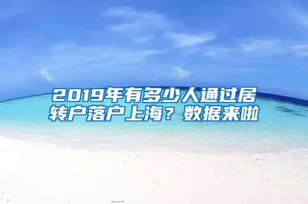 2019年有多少人通过居转户落户上海？数据来啦
