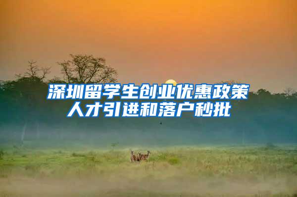 深圳留学生创业优惠政策人才引进和落户秒批