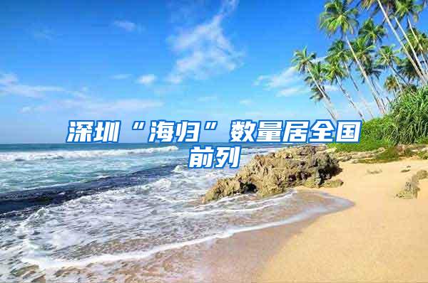 深圳“海归”数量居全国前列