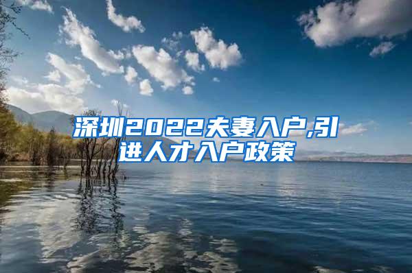 深圳2022夫妻入户,引进人才入户政策