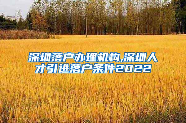 深圳落户办理机构,深圳人才引进落户条件2022
