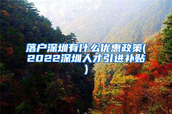 落户深圳有什么优惠政策(2022深圳人才引进补贴)