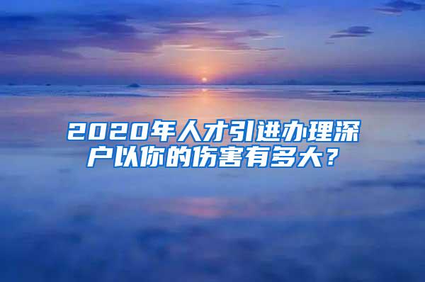 2020年人才引进办理深户以你的伤害有多大？