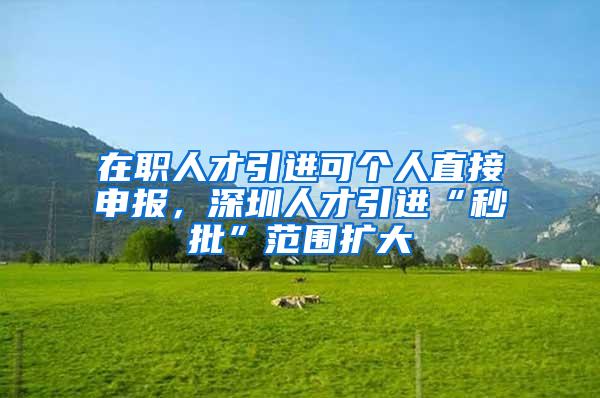 在职人才引进可个人直接申报，深圳人才引进“秒批”范围扩大