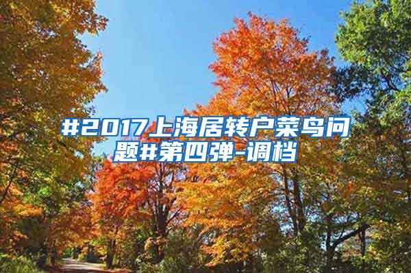 #2017上海居转户菜鸟问题#第四弹-调档