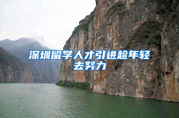深圳留学人才引进趁年轻去努力