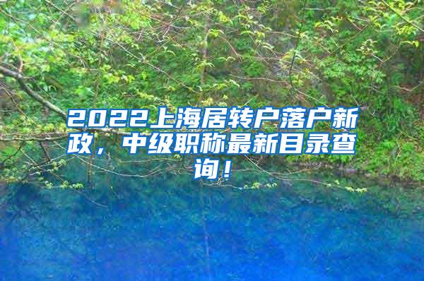 2022上海居转户落户新政，中级职称最新目录查询！