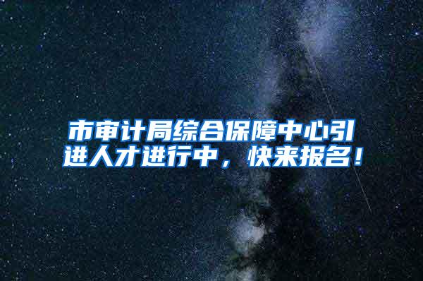 市审计局综合保障中心引进人才进行中，快来报名！