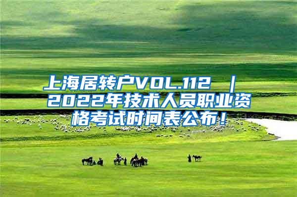 上海居转户VOL.112 ｜ 2022年技术人员职业资格考试时间表公布！