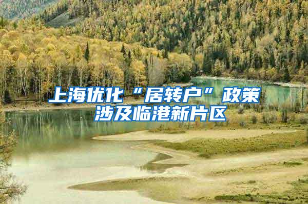 上海优化“居转户”政策 涉及临港新片区