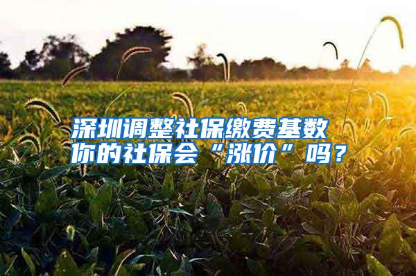 深圳调整社保缴费基数 你的社保会“涨价”吗？