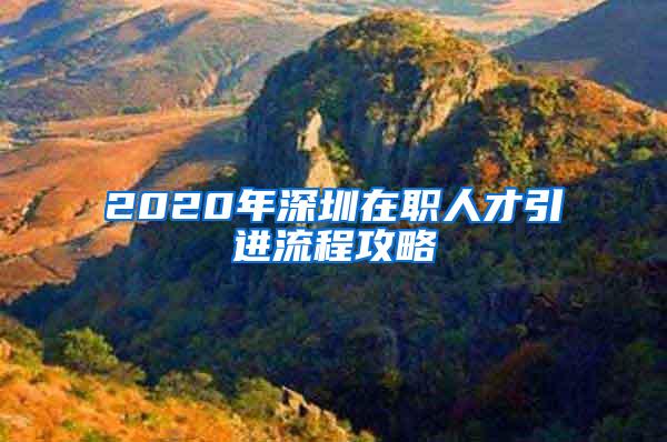 2020年深圳在职人才引进流程攻略
