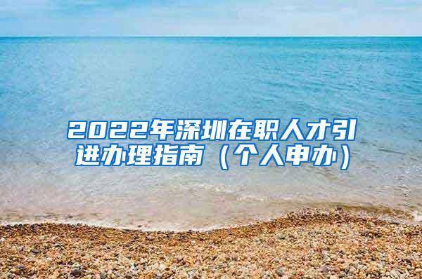 2022年深圳在职人才引进办理指南（个人申办）