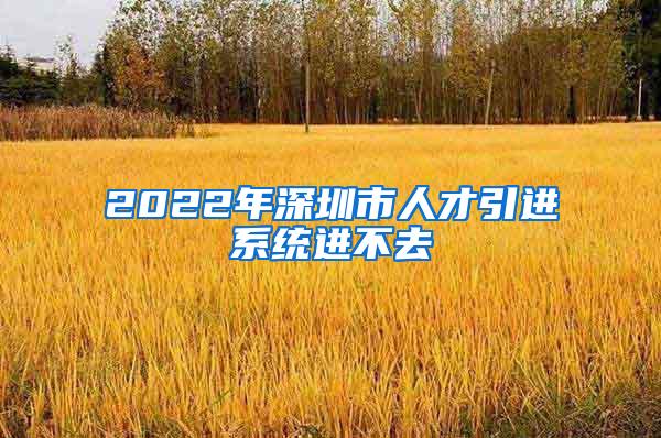 2022年深圳市人才引进系统进不去