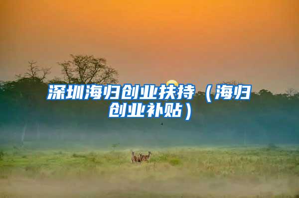 深圳海归创业扶持（海归创业补贴）