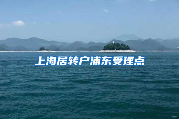 上海居转户浦东受理点