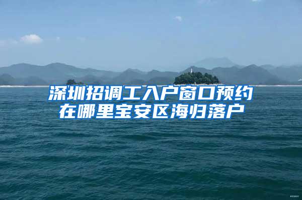 深圳招调工入户窗口预约在哪里宝安区海归落户