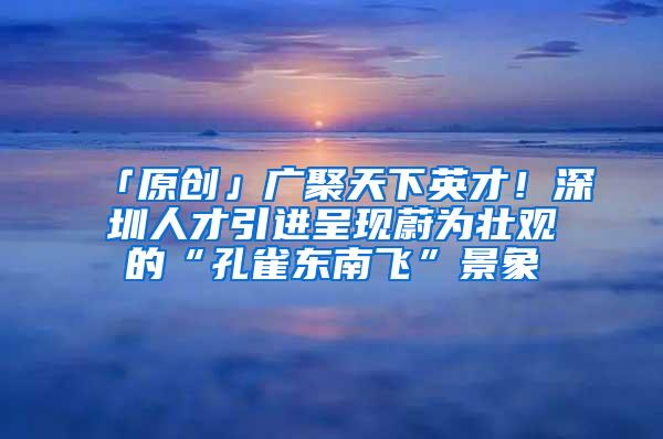 「原创」广聚天下英才！深圳人才引进呈现蔚为壮观的“孔雀东南飞”景象
