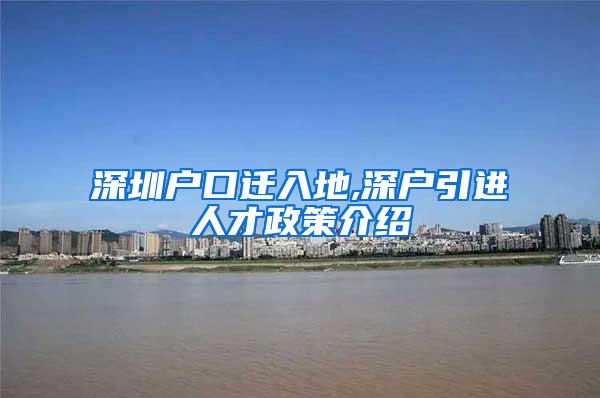 深圳户口迁入地,深户引进人才政策介绍
