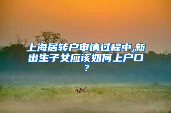 上海居转户申请过程中,新出生子女应该如何上户口？