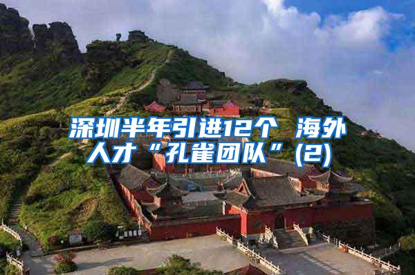 深圳半年引进12个 海外人才“孔雀团队”(2)
