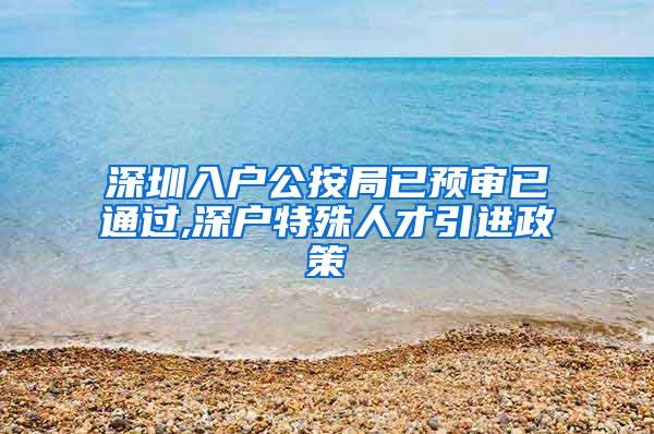 深圳入户公按局已预审已通过,深户特殊人才引进政策