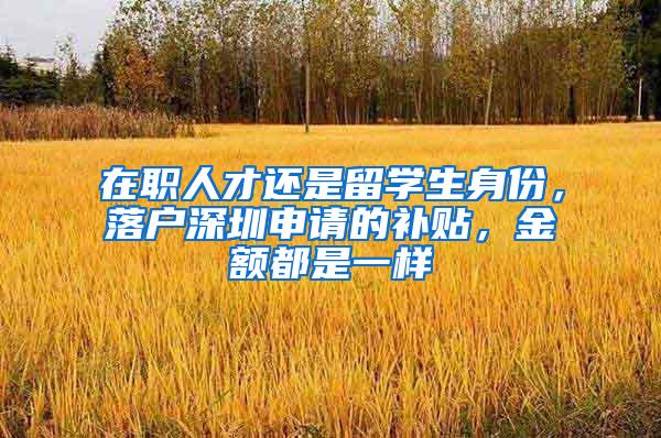 在职人才还是留学生身份，落户深圳申请的补贴，金额都是一样