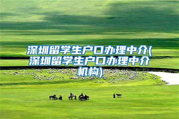 深圳留学生户口办理中介(深圳留学生户口办理中介机构)