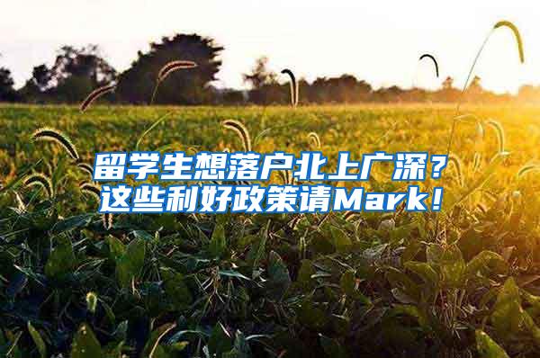 留学生想落户北上广深？这些利好政策请Mark！