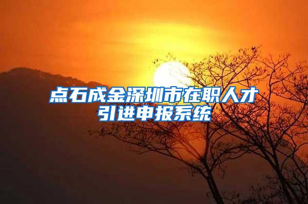 点石成金深圳市在职人才引进申报系统