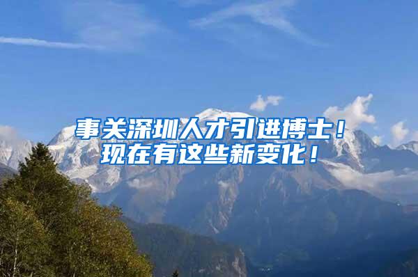 事关深圳人才引进博士！现在有这些新变化！