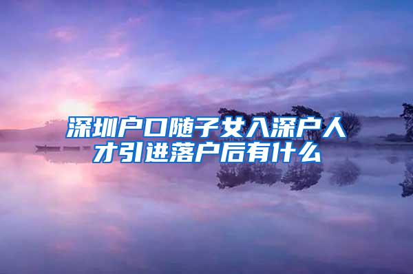深圳户口随子女入深户人才引进落户后有什么
