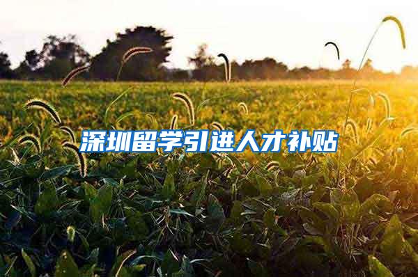 深圳留学引进人才补贴