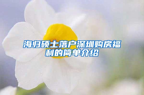 海归硕士落户深圳购房福利的简单介绍