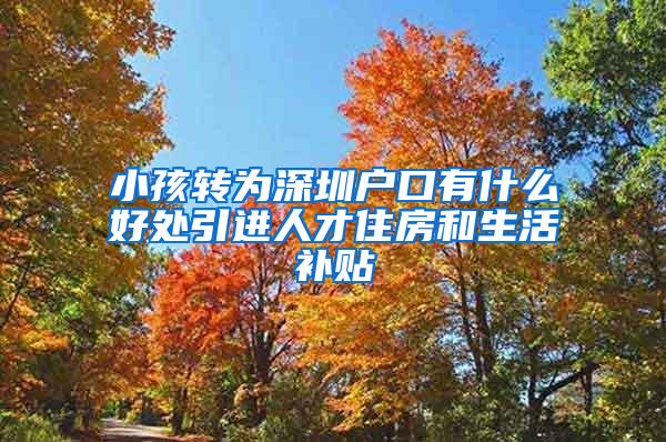 小孩转为深圳户口有什么好处引进人才住房和生活补贴