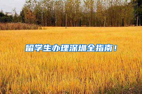 留学生办理深圳全指南！