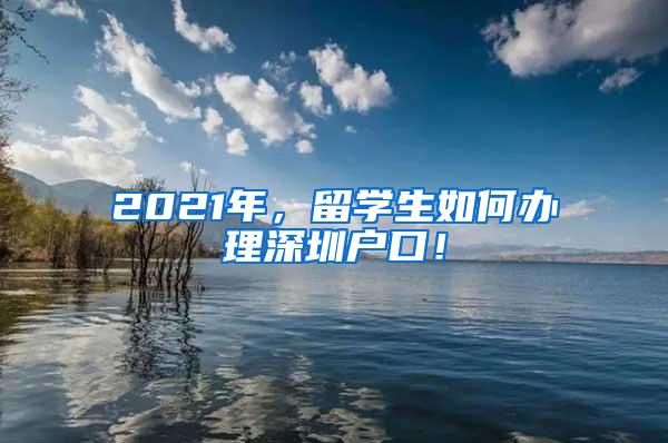 2021年，留学生如何办理深圳户口！