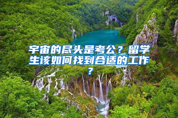 宇宙的尽头是考公？留学生该如何找到合适的工作？