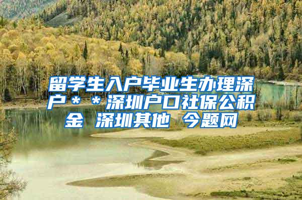 留学生入户毕业生办理深户＊＊深圳户口社保公积金 深圳其他 今题网