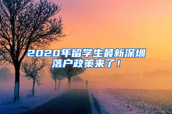 2020年留学生最新深圳落户政策来了！