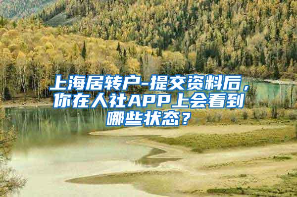 上海居转户-提交资料后，你在人社APP上会看到哪些状态？