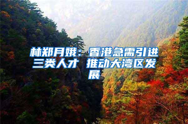 林郑月娥：香港急需引进三类人才 推动大湾区发展