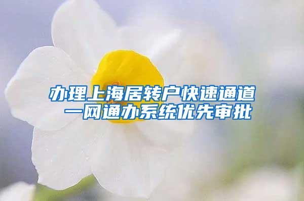 办理上海居转户快速通道 一网通办系统优先审批