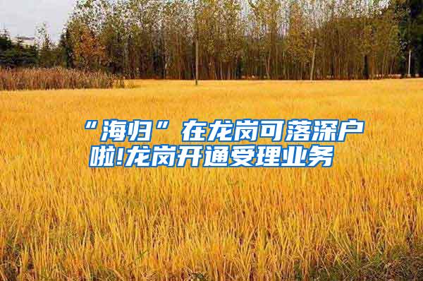 “海归”在龙岗可落深户啦!龙岗开通受理业务